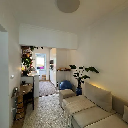 Cosy Campo De Ourique Appartamento